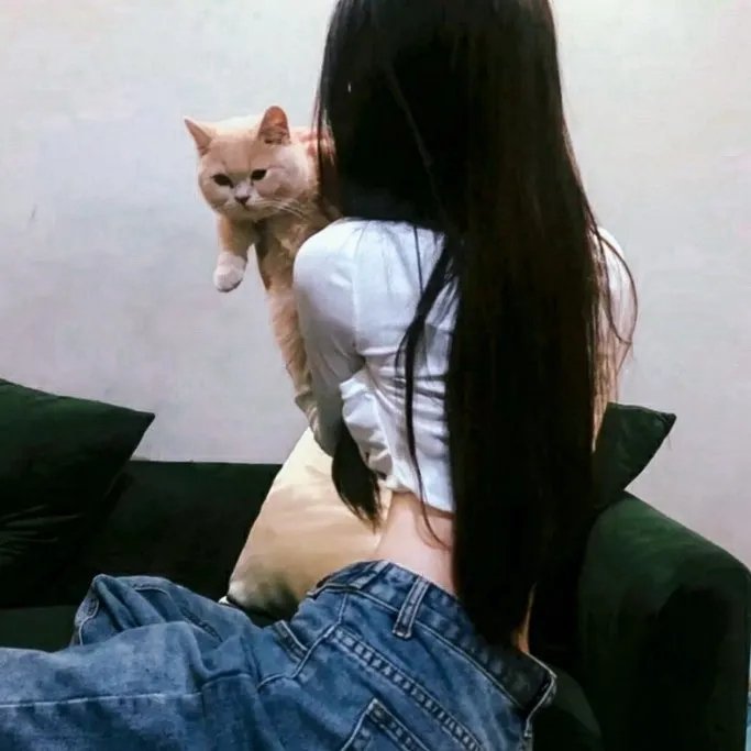 脂粉拳王